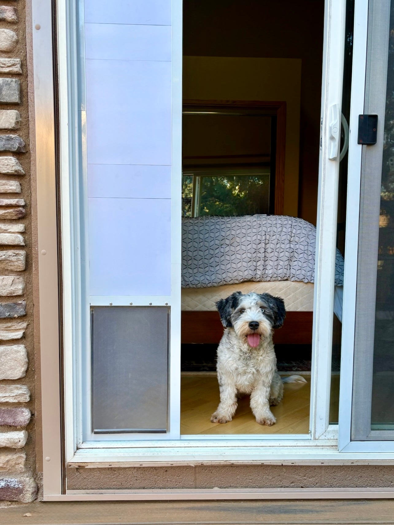 Pre-Order Portable Stacking Pet Door for Sliding Glass Doors – Avi's Pet  Door, image size:1284x1712