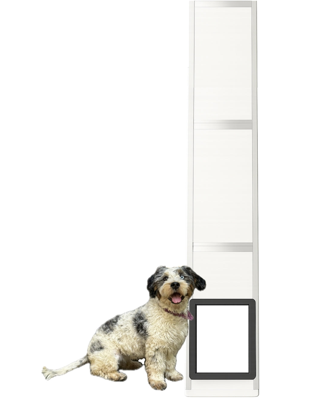 Pet Door for Sliding Glass Doors