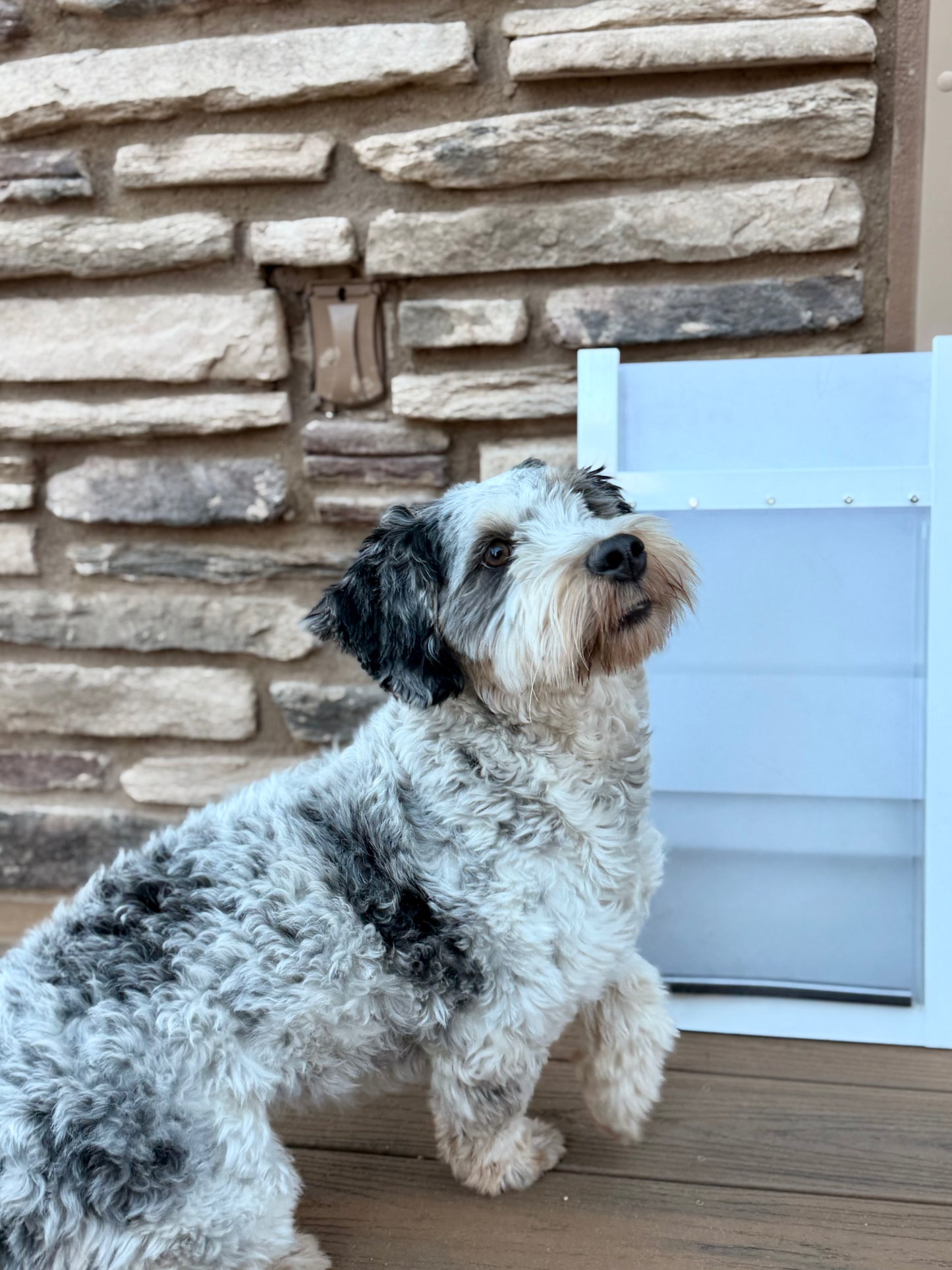Pre-Order Stacking Pet Door for Sliding Glass Doors