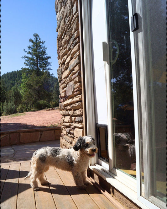 Pet Door for Sliding Glass Doors